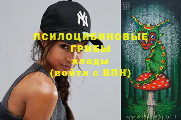 метамфетамин Алексеевка