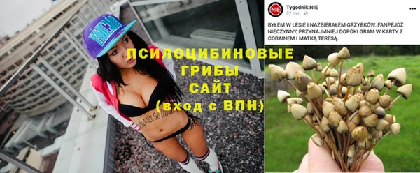 метамфетамин Алексеевка